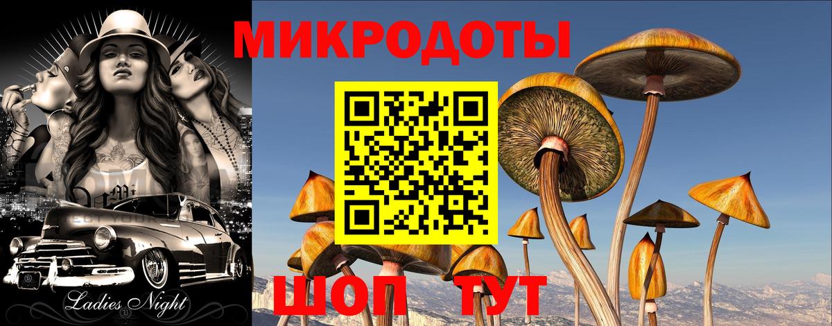 Галлюциногенные грибы Psilocybine cubensis  наркотики  Отрадный  Вход с VPN 